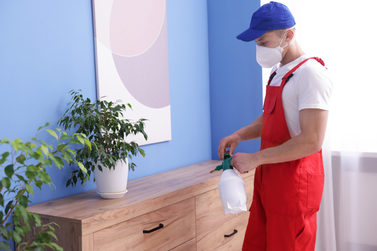 Interventions d'urgence