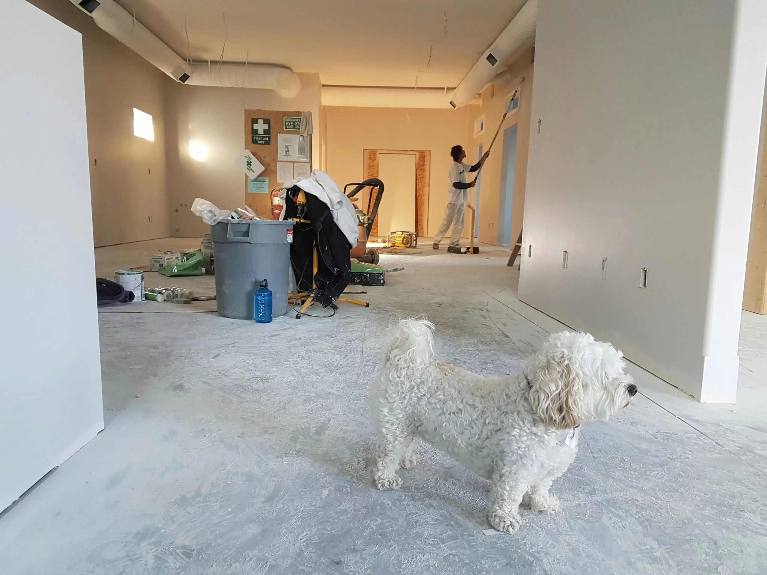 Remise en état après travaux à Rennes