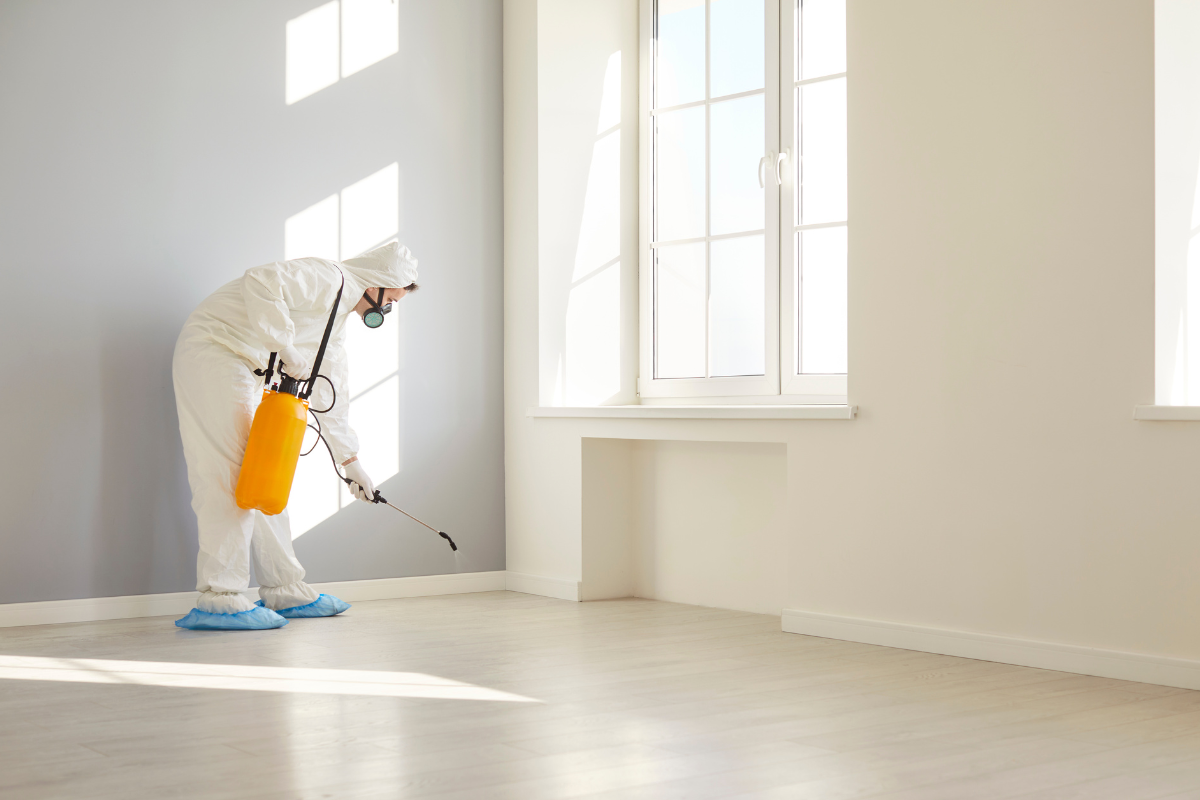 Technicien en tenue professionnelle réalisant une désinfection complète d'un local professionnel à Rennes (35).