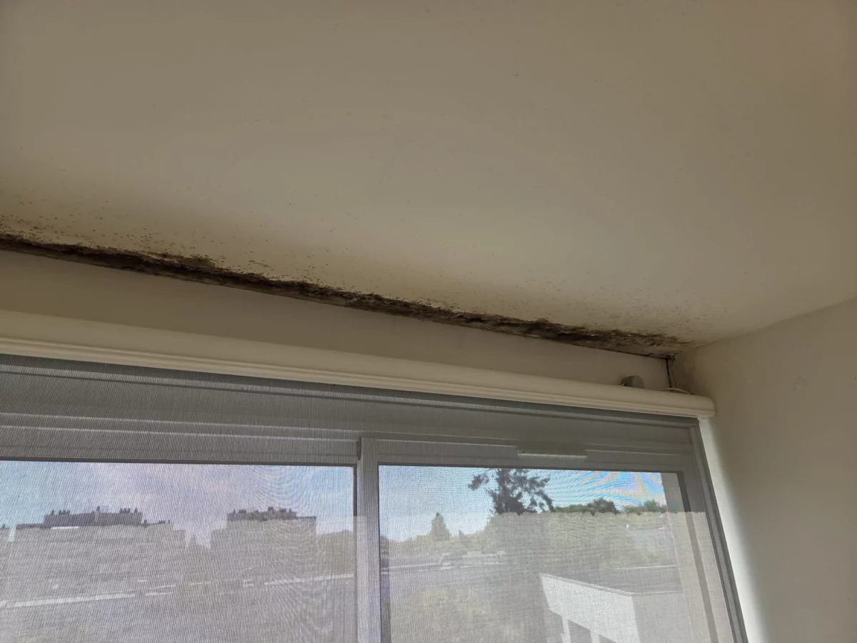 Accueil 21 Plafond au-dessus de la fenêtre avant le nettoyage à Villejean